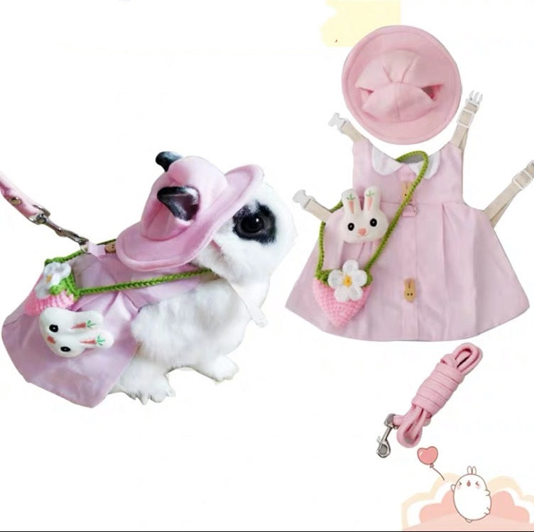 Kaninsele med Klänning och Koppel