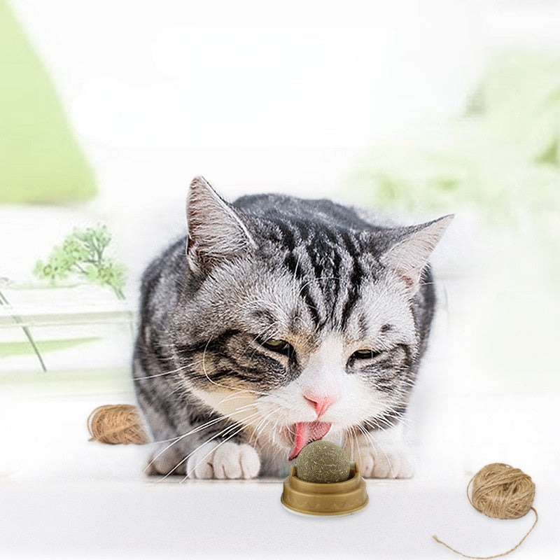Aktiverande Kattmynta Boll
