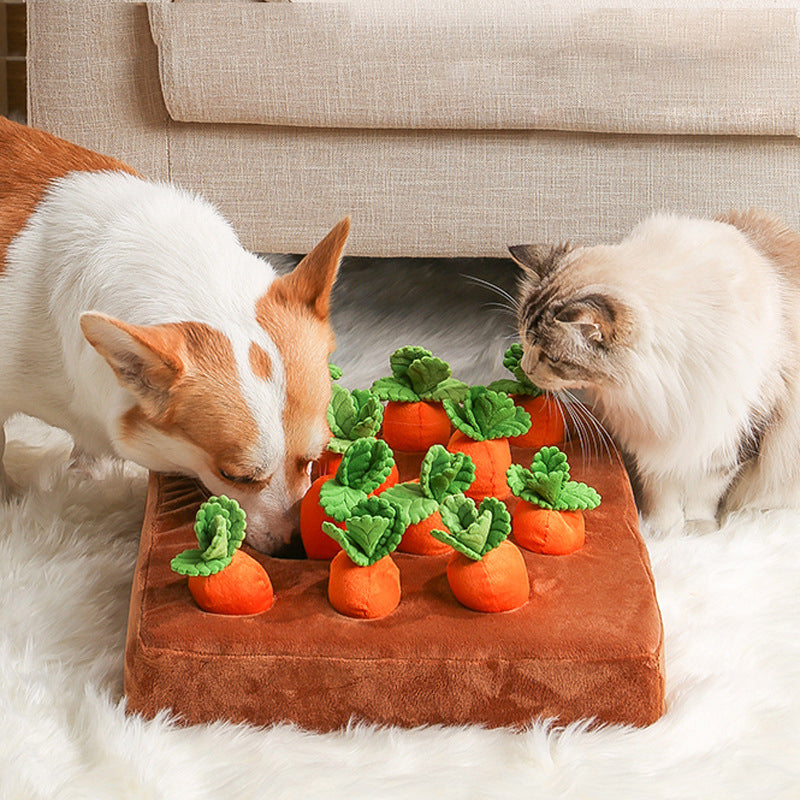 Morotsmys – Dragleksak För Hund & Katt
