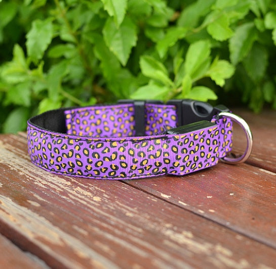 Lysande Hundhalsband LED