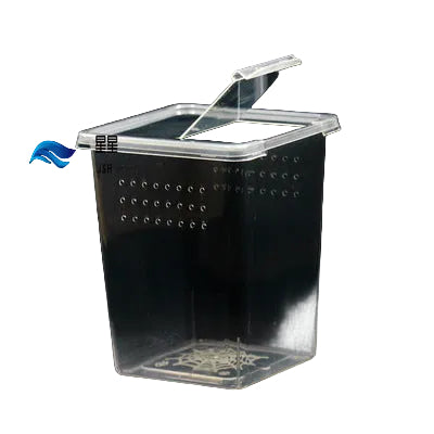 Ventilerad Insektbox för Spindlar & Smådjur