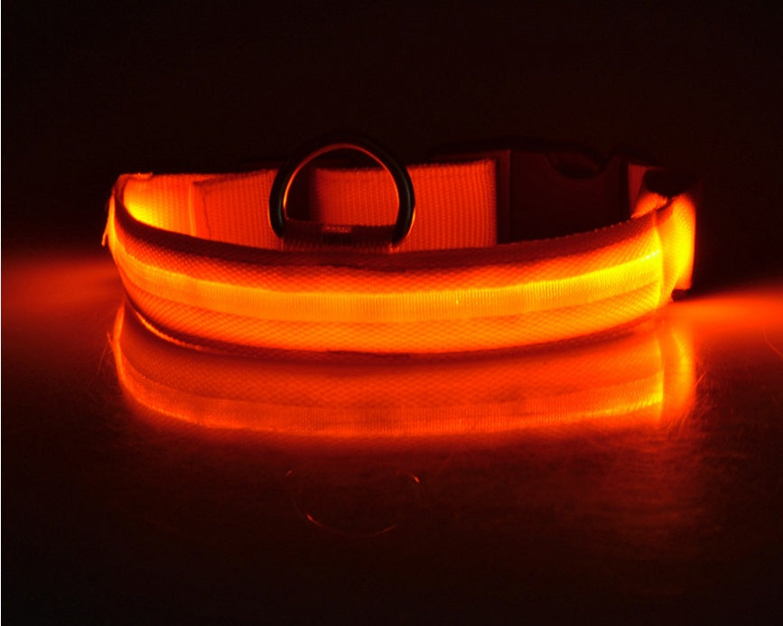 Nylon LED Hundhalsband – Säkerhet & Synlighet i Mörker