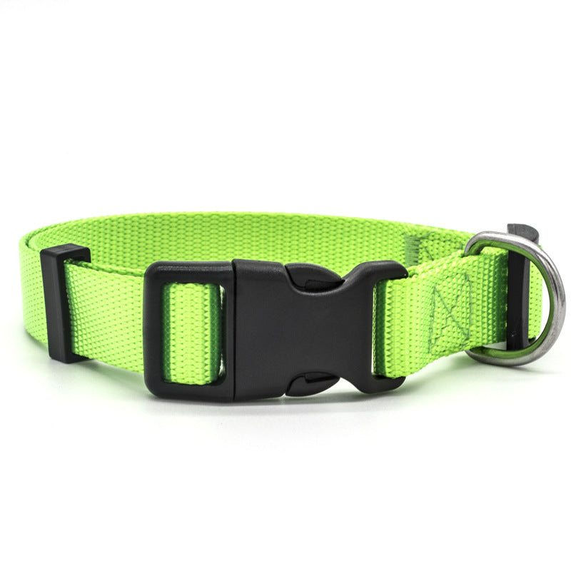 Justerbart Nylonhalsband för Hund & Katt