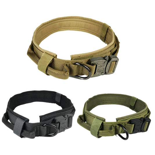 Taktiskt Hundhalsband i Nylon