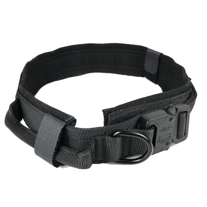 Taktiskt Hundhalsband i Nylon