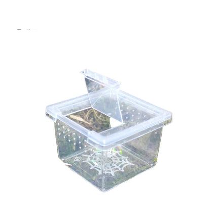 Ventilerad Insektbox för Spindlar & Smådjur