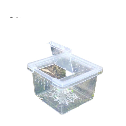 Ventilerad Insektbox för Spindlar & Smådjur