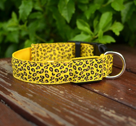 Lysande Hundhalsband LED