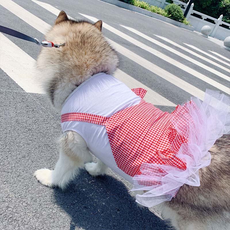 Hundklänning – Rutig Prinsessklänning För Små & Stora Hundar
