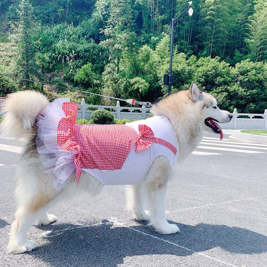 Hundklänning – Rutig Prinsessklänning För Små & Stora Hundar