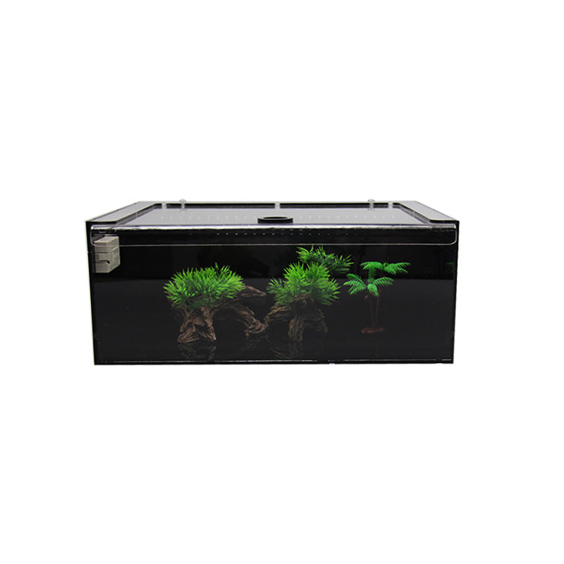Premium Akrylterrarium för Spindlar & Små Kräldjur
