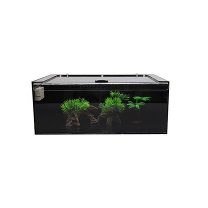 Premium Akrylterrarium för Spindlar & Små Kräldjur