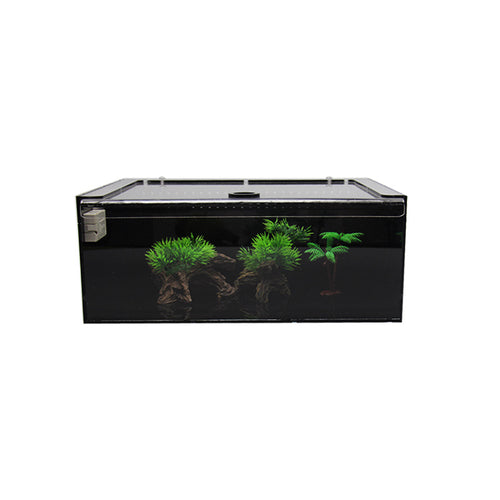 Premium Akrylterrarium för Spindlar & Små Kräldjur