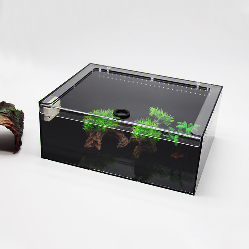 Premium Akrylterrarium för Spindlar & Små Kräldjur