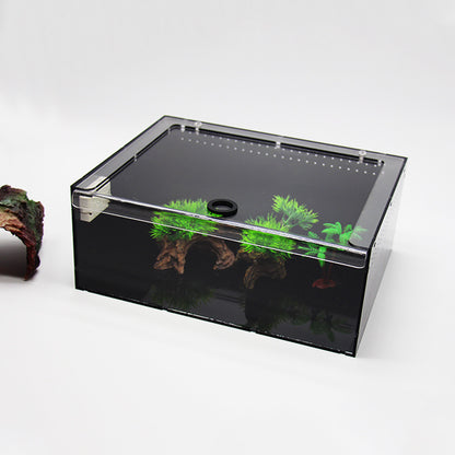 Premium Akrylterrarium för Spindlar & Små Kräldjur