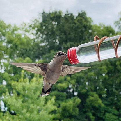 Kolibri Matare med Sugpropp – Handgjord i Koppar & PET-flaskor