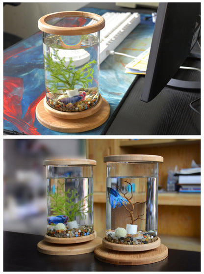 Dekorativt Mini Akvarium med Bambu