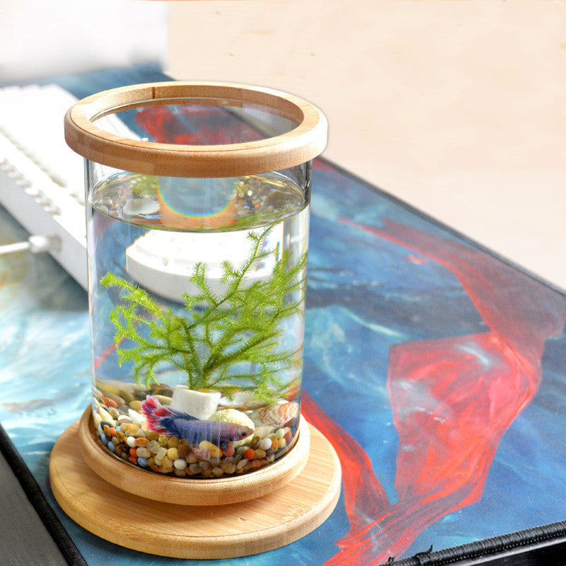 Dekorativt Mini Akvarium med Bambu