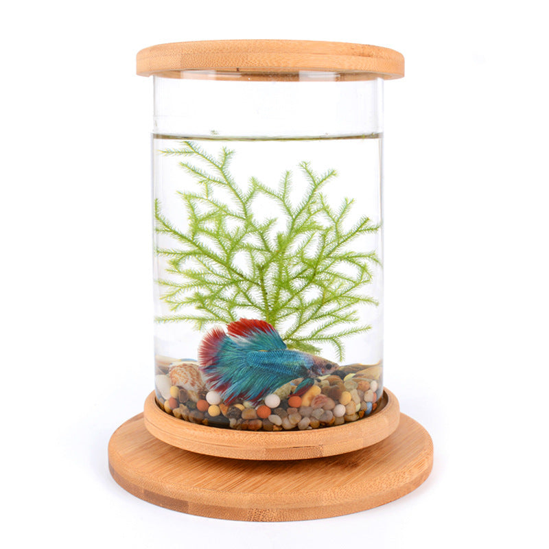 Dekorativt Mini Akvarium med Bambu