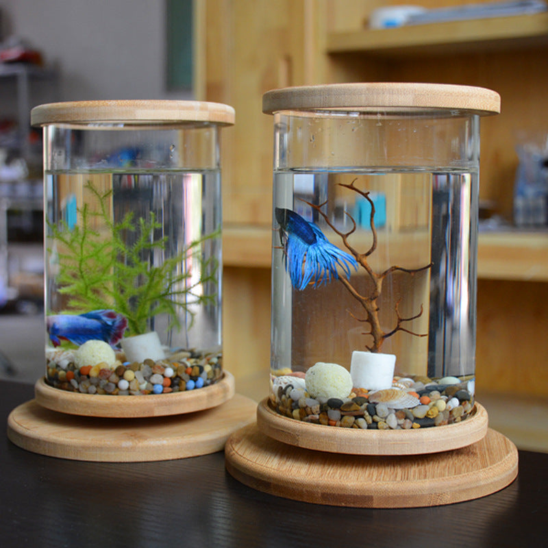 Dekorativt Mini Akvarium med Bambu