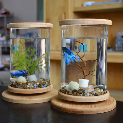 Dekorativt Mini Akvarium med Bambu