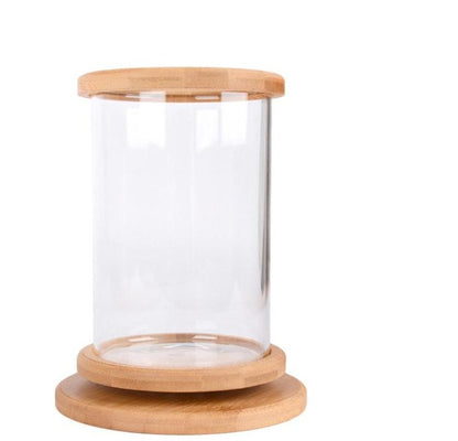 Dekorativt Mini Akvarium med Bambu