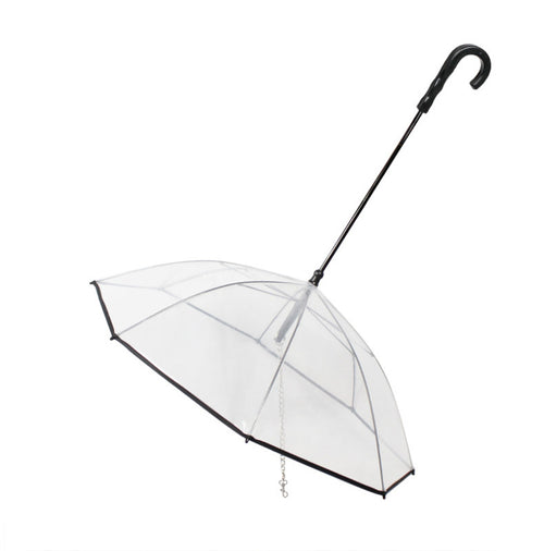 Transparent Hundparaply med Koppel
