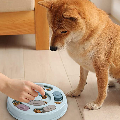 Hundmatskål – Ät Långsammare & Lek Mer