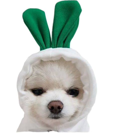 Sötdjurs-Hoodie – 7 Gulliga Stilar för Hund & Katt