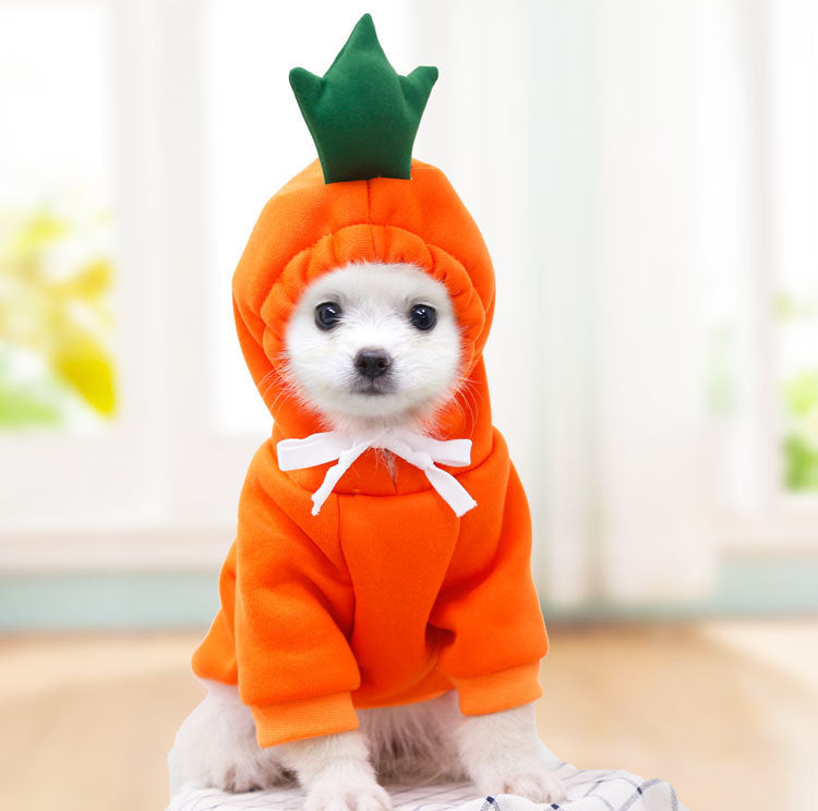 Sötdjurs-Hoodie – 7 Gulliga Stilar för Hund & Katt
