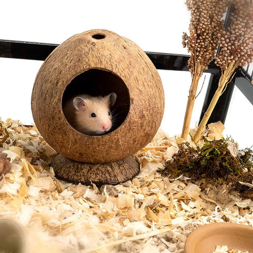 Kokoshus för Hamster