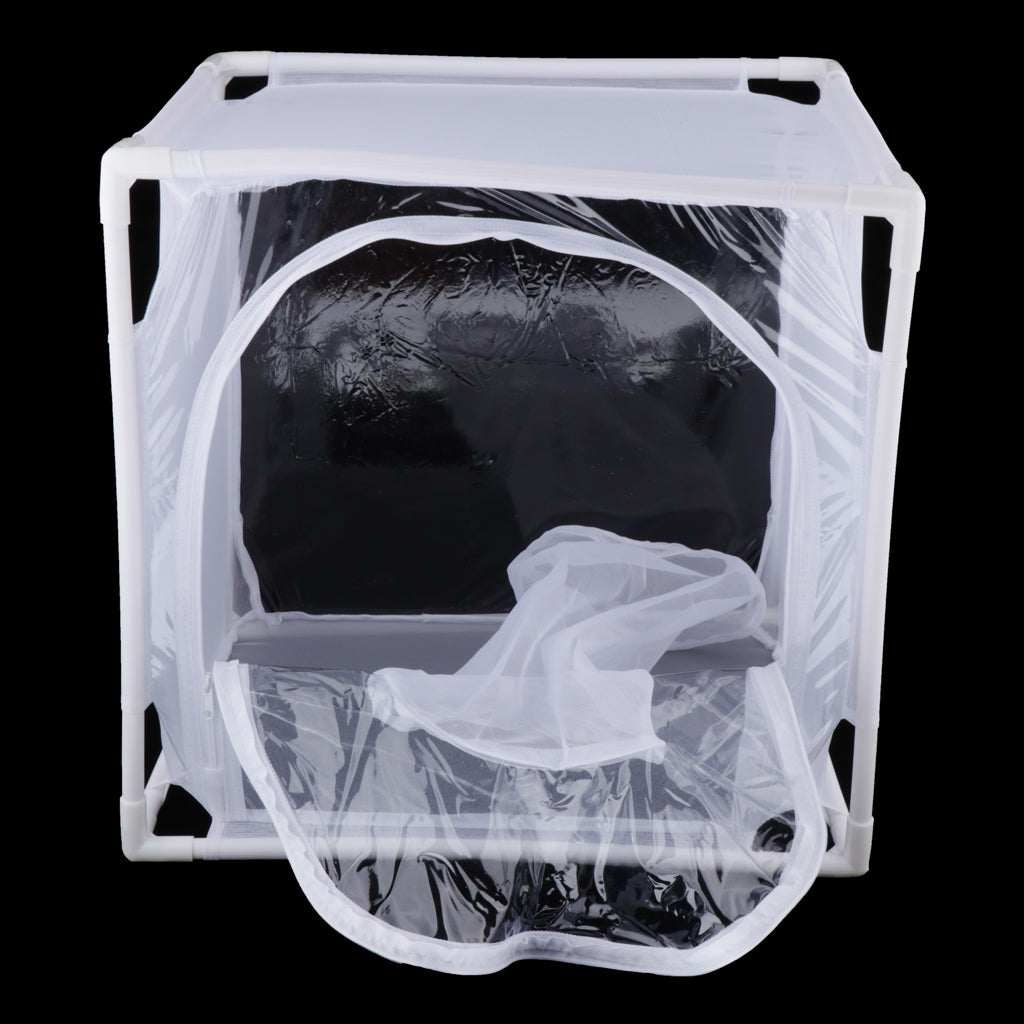 Luftigt Observations-Terrarium i Mesh för Spindlar & Insekter