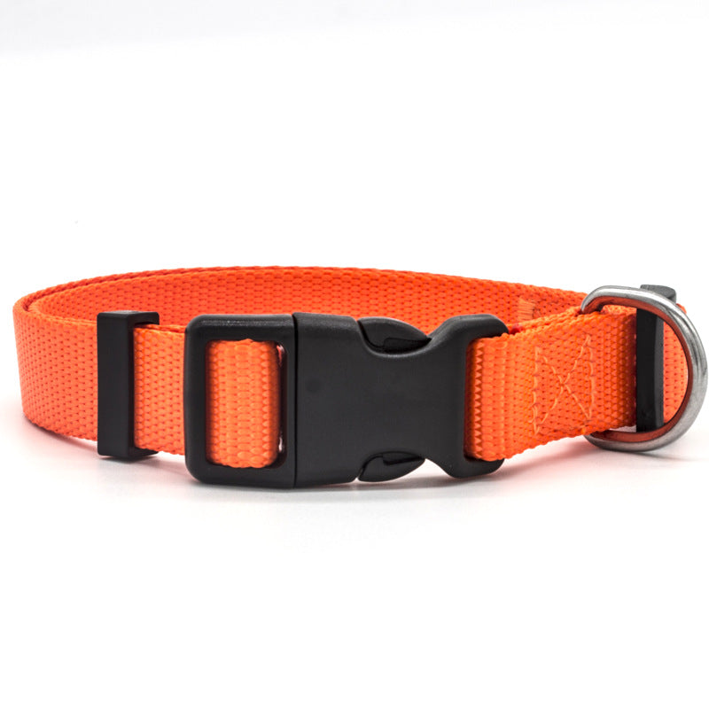 Justerbart Nylonhalsband för Hund & Katt
