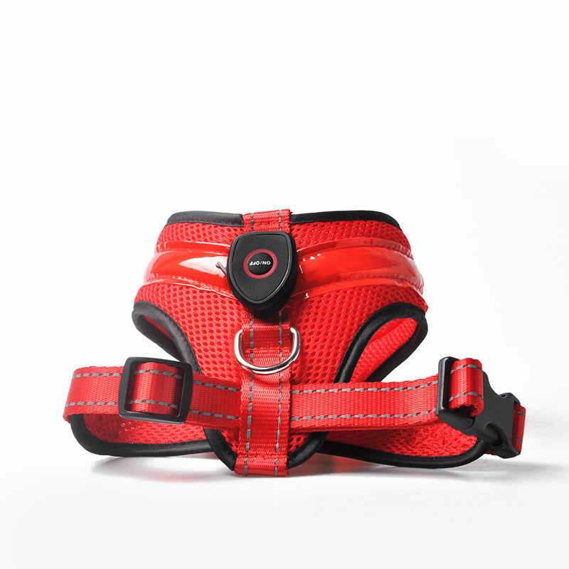 LED Hundsele – Säker Nattpromenad