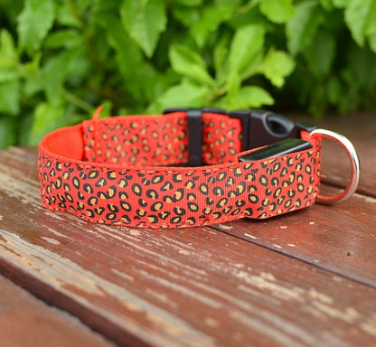 Lysande Hundhalsband LED