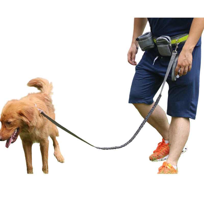 Handsfree Löpkoppel med Midjeväska – Justerbart Set för Hundpromenader
