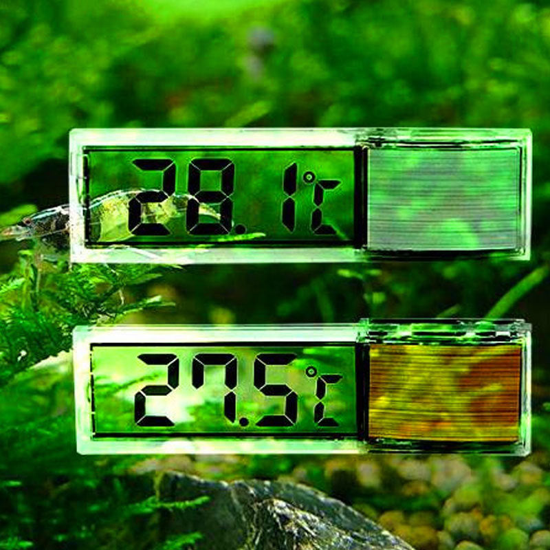Digital Akvarietermometer med LCD-Display