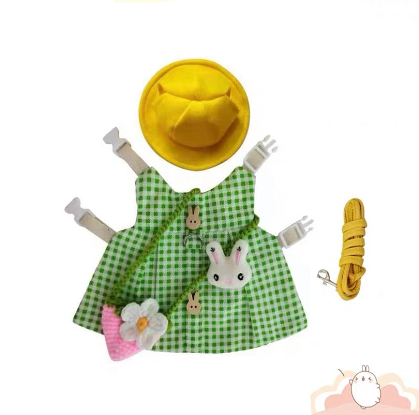 Kaninsele med Klänning och Koppel