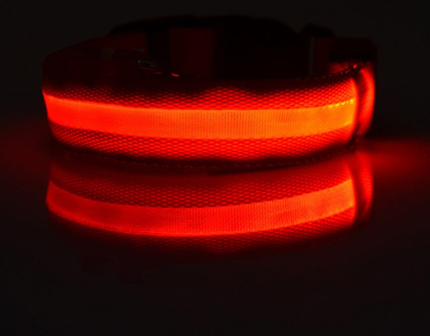 Nylon LED Hundhalsband – Säkerhet & Synlighet i Mörker