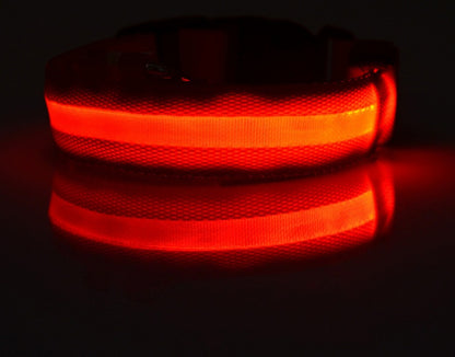 Nylon LED Hundhalsband – Säkerhet & Synlighet i Mörker
