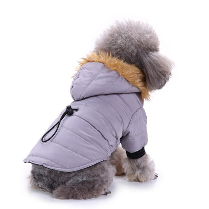 Vinterjacka för Hund