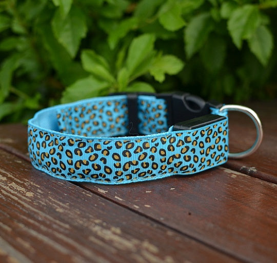 Lysande Hundhalsband LED