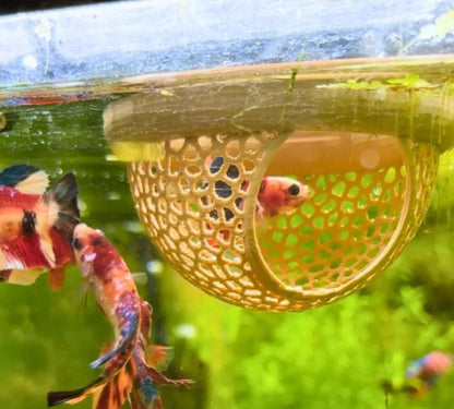Flytande Fiskgömma för Akvarium