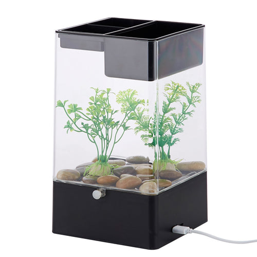 Skrivbordsakvarium med Växtodling