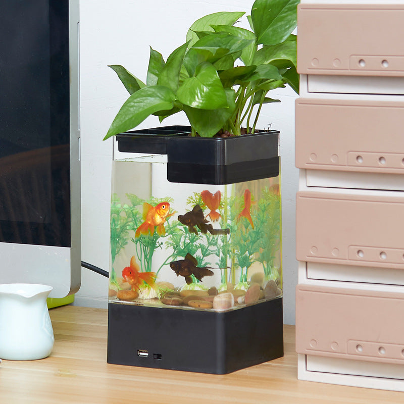 Skrivbordsakvarium med Växtodling