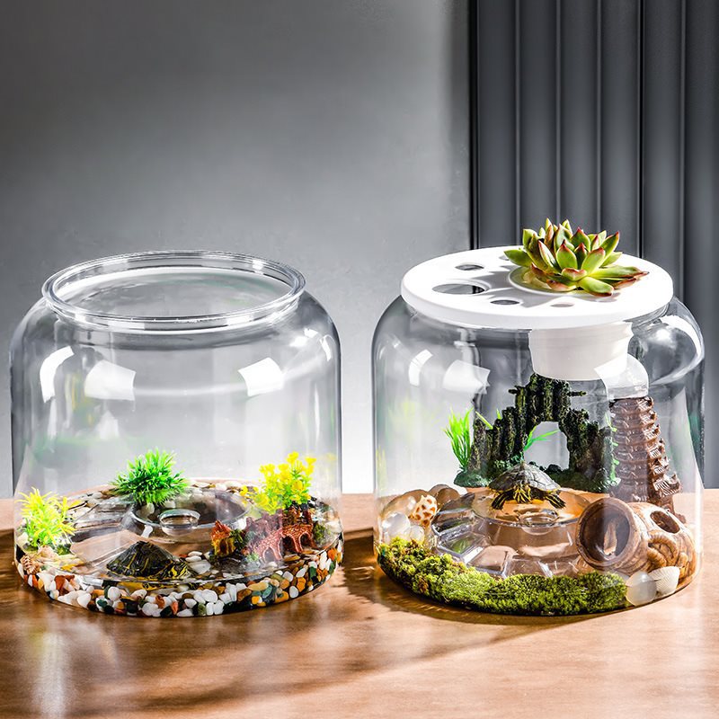 Mini Akvarium med Lock – Skrivbordsmodell