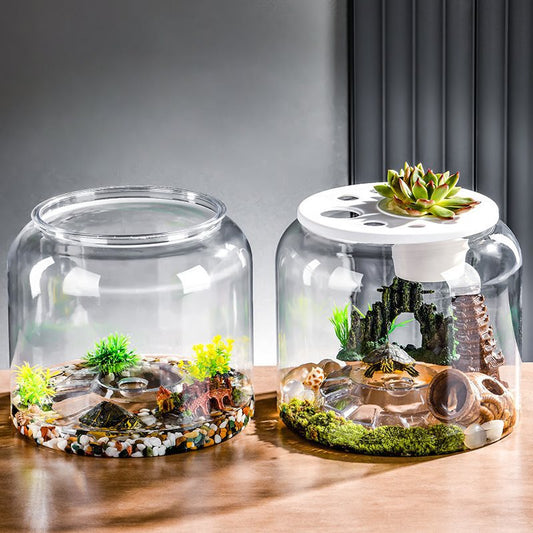 Mini Akvarium med Lock – Skrivbordsmodell