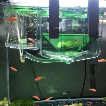 Fiskyngel Skyddsbox – För Akvarium