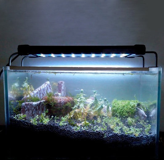LED-belysning för akvarium