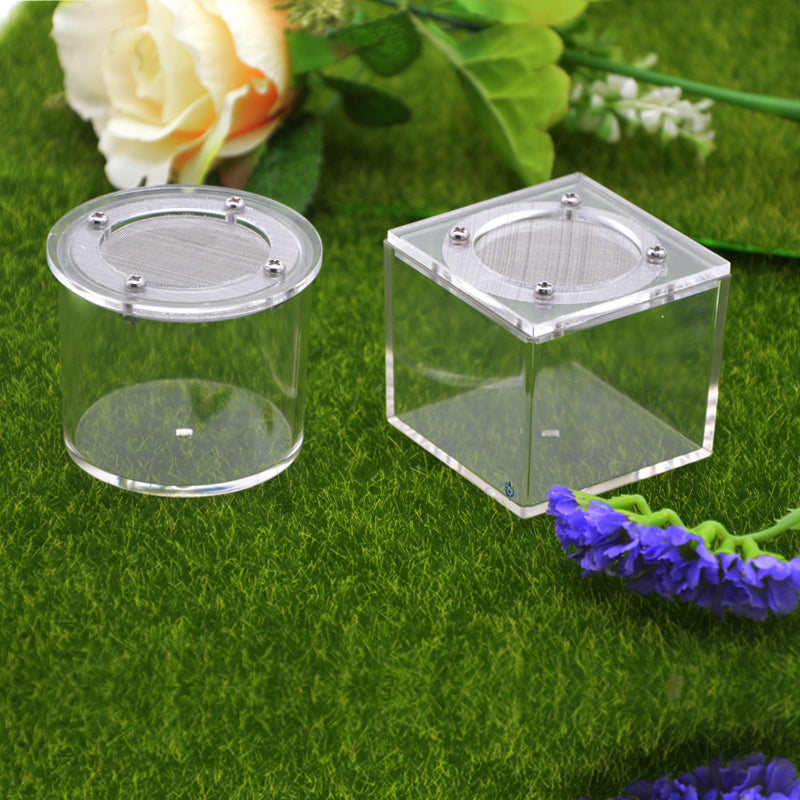 Akryl Insektbox med Nätlock för Spindlar & Små Insekter